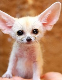 |В| Счастье есть... |В| - 9 августа 2015 в 23:22 - 2