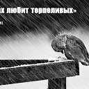 ���� ..................., ������, 34 ���� - ��������� 9 ���� 2015 � ������ ������ ��������