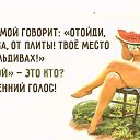 ���� ����, �����, 74 ���� - ��������� 26 ������� 2015 � ������ ������ ��������