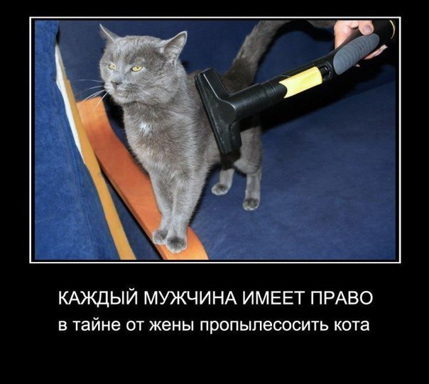      - 3  2015  23:12