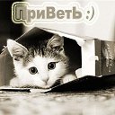  Andrey, , 53  -  22  2015    