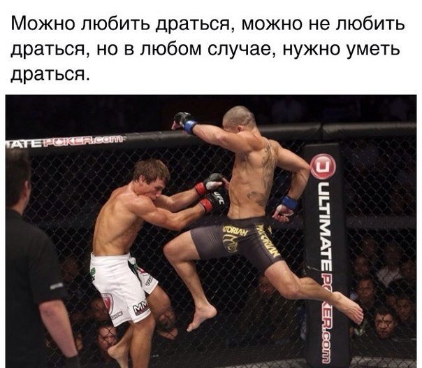 SportFeed - 31  2015  16:18