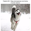 ���� Tomas, ������ - ��������� 5 ���� 2015 � ������ �������