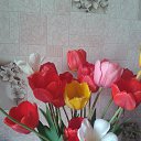  ,  -  15  2015    2015