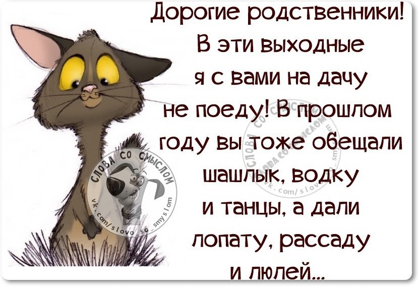 ��������� ��������� - 26 ���� 2015 � 11:08