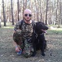 ���� ����, ����������, 38 ��� - ��������� 29 ������� 2015 � ������ ���� ����������