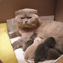 ����� � �����������! �� ������� ���� ����������