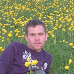 �����, �������, 38 ���