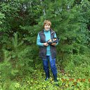 ���� ����, ��������, 74 ���� - ��������� 3 ������� 2015 � ������ �����