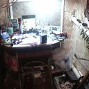 ���� �����, ���� - ��������� 23 ���� 2015 � ������ ���� ����������