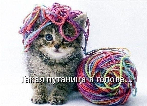 , ,  - 7  2015  13:08