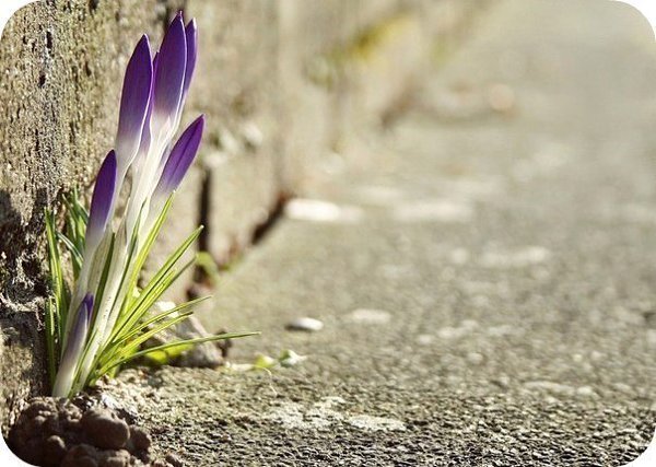          -     " "  -   : http://vk.com/creationoflife - 6  2015  13:48