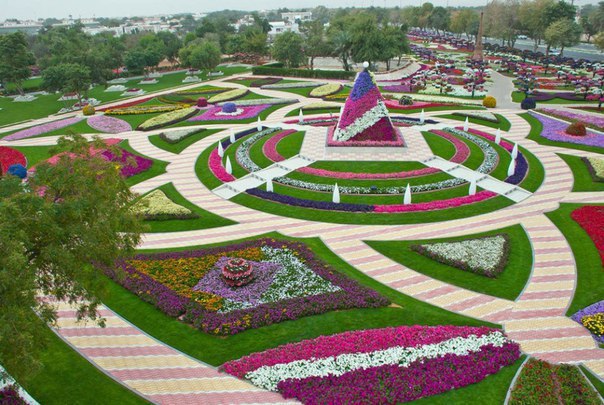 Dubai Miracle Garden -       - 3