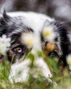  - 18  2015  14:10 - 5