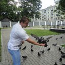 ���� ���������, �������� - ��������� 23 ��� 2015 � ������ ���� ����������