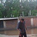  Prodigy,  -  12  2015    