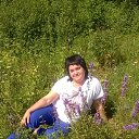 ���� �����, �����������, 49 ��� - ��������� 24 ���� 2015 � ������ ���� ����������