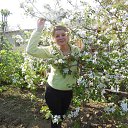 ���� �����, �����������, 59 ��� - ��������� 7 ��� 2015