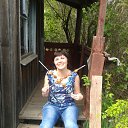 ���� ��������, ������������ - ��������� 8 �������� 2015 � ������ ���� ����������