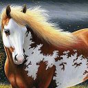 ���� ��������, ��������, 73 ���� - ��������� 2 ������� 2015 � ������ ������������ �������