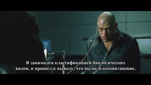  / The Matrix, 1999 - 2