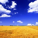 ���� ����, ������, 58 ��� - ��������� 6 �������� 2015 � ������ ���� ����������