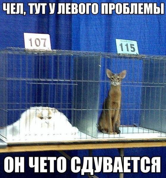       - 9  2015  10:30