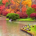 ���� ������, ������, 72 ���� - ��������� 22 ���� 2015 � ������ ���� ���� ������