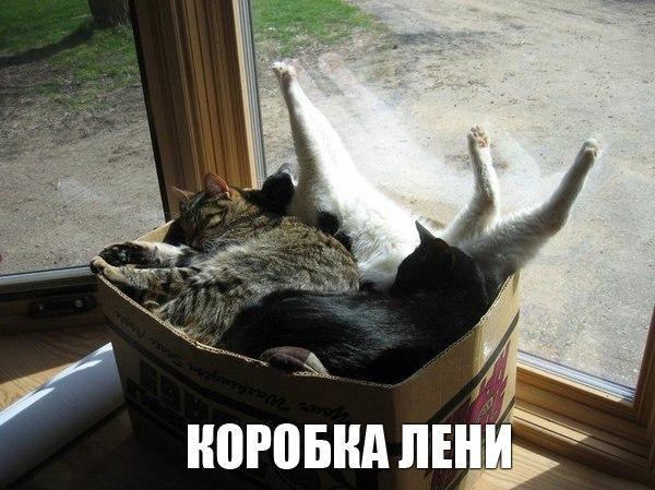  -  - 14  2015  12:22
