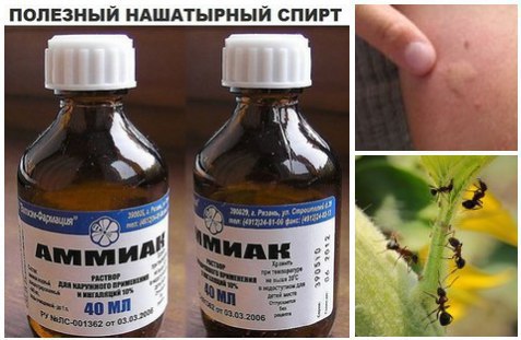 НАШАТЫРНЫЙ СПИРТ-7 БЕД ОДИН ОТВЕТ!!! А вы знали что нашатырный спирт прекрасно справляется с ...