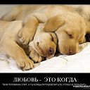 ���� �����, ��������, 36 ��� - ��������� 7 �������� 2015 � ������ ���� ����������