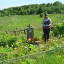 ���� ����, �����-���������, 72 ���� - ��������� 31 ��� 2015 � ������ ������ ��������