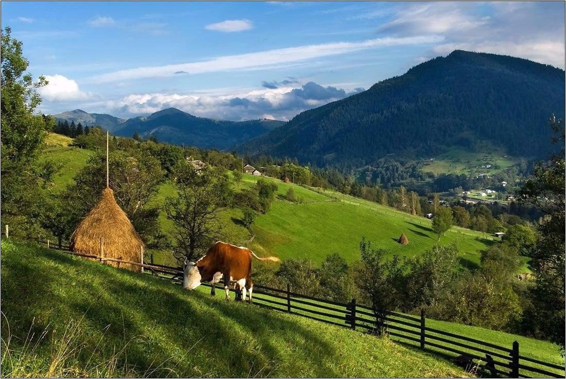  .#nature@travel.blog - 4