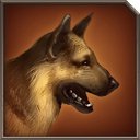 ���� �����, ���������, 35 ��� - ��������� 16 ��� 2015 � ������ ������ ��������