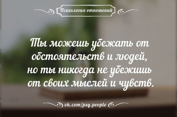  - 23  2015  22:48