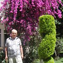  Edgard Nik., , 75  -  1  2015    2014.    