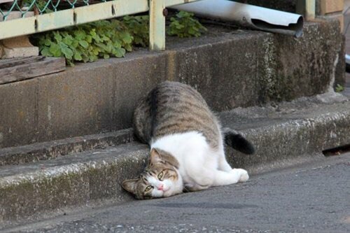      ,   " !"...)))