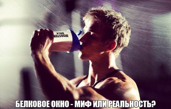 Белковое окно - миф или реальность? Каждый, кто хоть раз пытался изучить основы правильного питания, ...