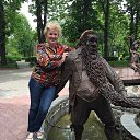 �������� 2015