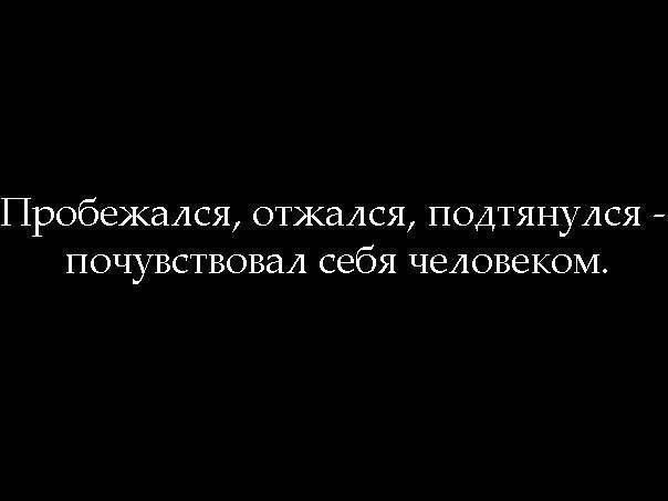 SportFeed - 23  2015  15:26