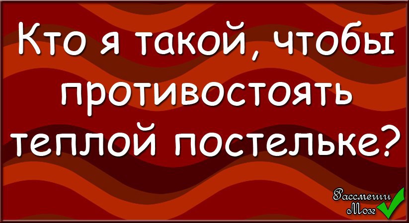  - 1  2015  09:41