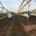 ���� ���������, ������, 75 ��� - ��������� 21 ���� 2015