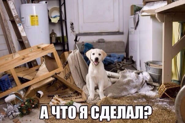    - 6  2015  03:11