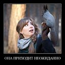 ���� �����, ������ - ��������� 9 �������� 2015 � ������ ���� ����������