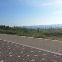 ���� ����, ����������, 37 ��� - ��������� 17 ���� 2015 � ������ �������