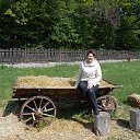 ���� ����, �������� - ��������� 27 ���� 2015 � ������ ������ ��������