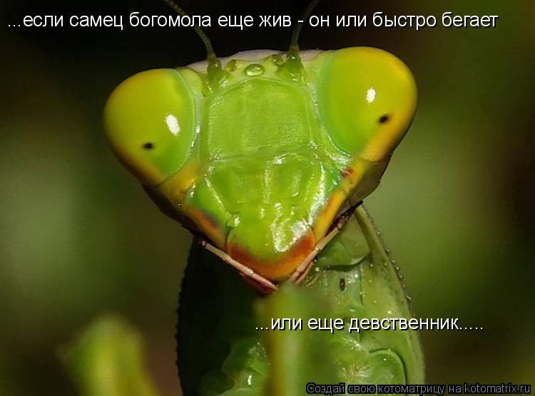       ,    :   ...
