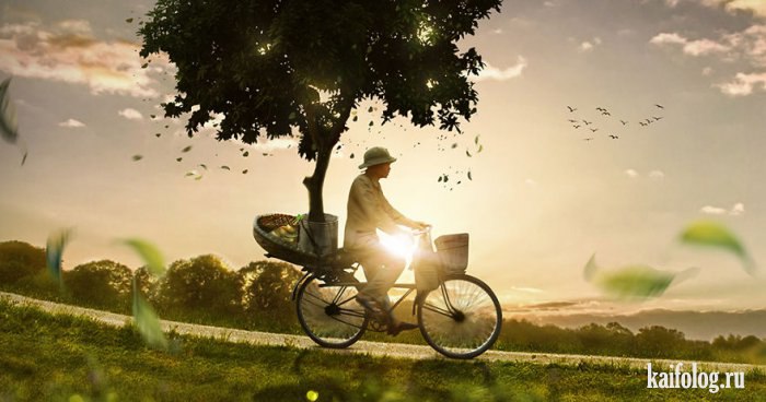   (Anil Saxena) -       ().   ... - 18