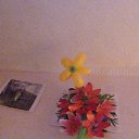 ���� �����, �������, 46 ��� - ��������� 2 ������� 2015 � ������ ������ ��������