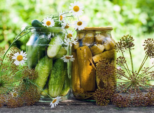 Рецепт засолки огурцов с пряностями.Для приготовления рассола для мелких огурцов на 10 л воды нужно ...